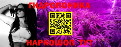 шишки Коммунар