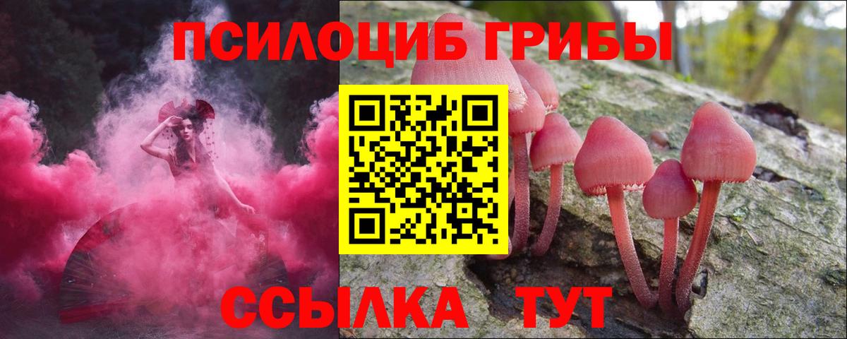 Галлюциногенные грибы Magic Shrooms  Вход с VPN  Псилоцибиновые грибы GOLDEN TEACHER  Ейск 